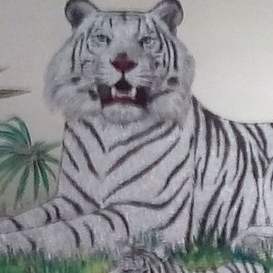 Meet your Posher, Faith